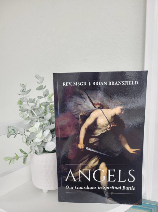 Angels: Our Guardians in Battle