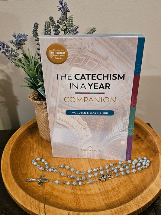 The Catechism in a Year Companion: vol 1