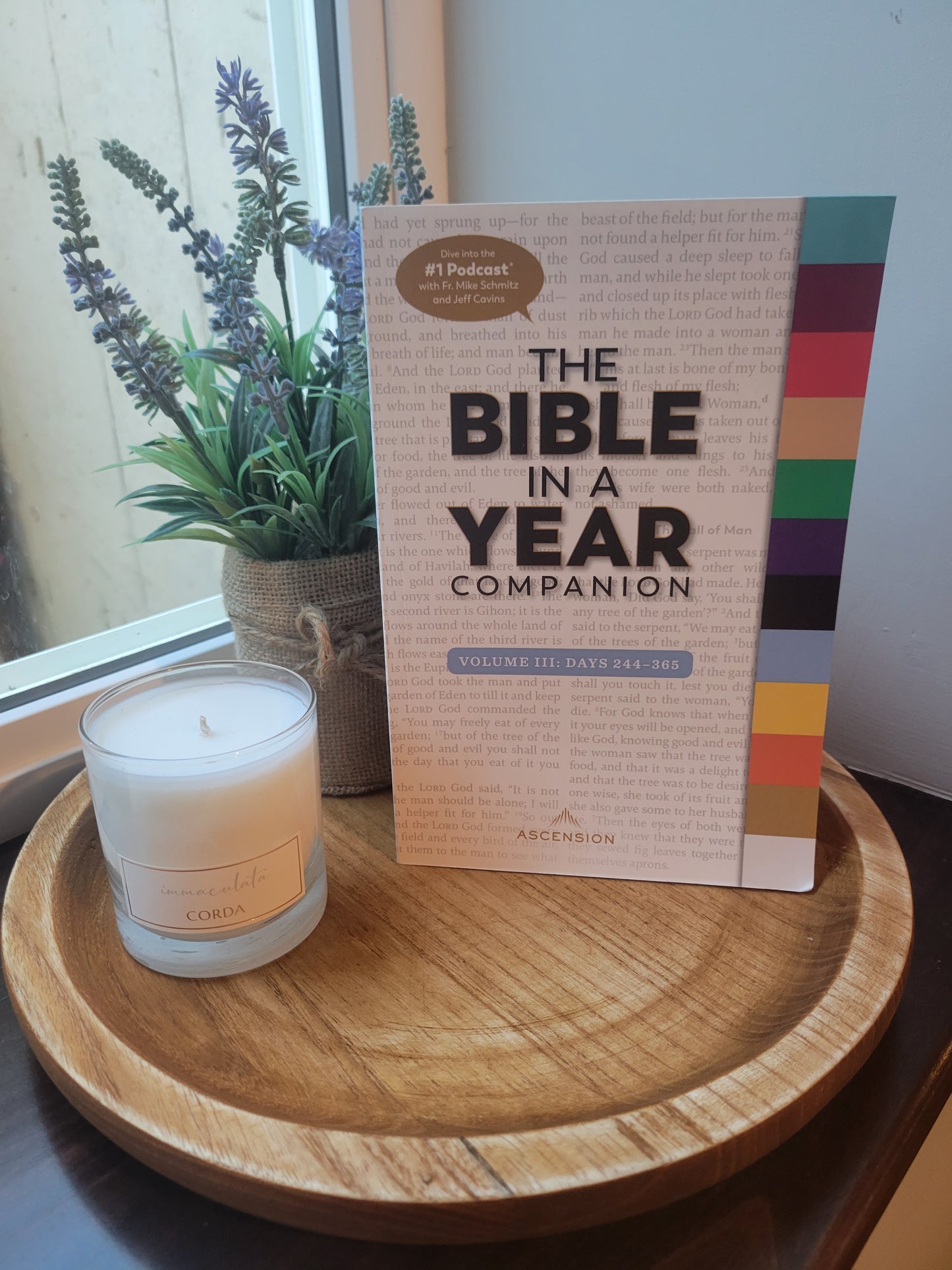The Bible in a Year Companion Volume III