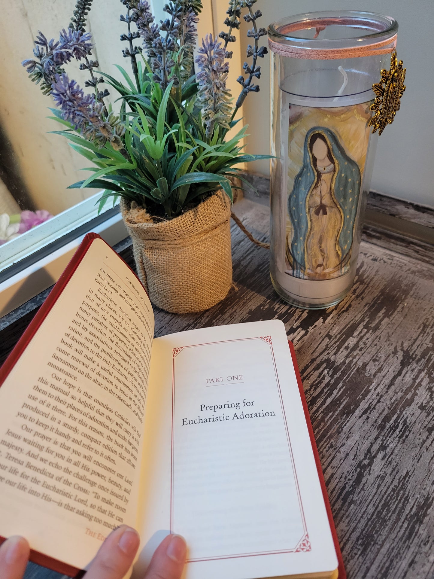 Manual for Eucharistic Adoration