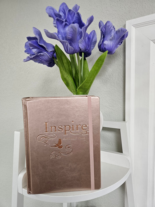 Inspire Catholic Coloring Bible