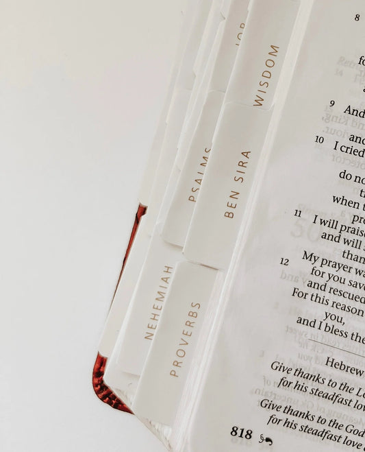 Blessed Is She Bible Study Tabs for Women | Organize Your Scripture
