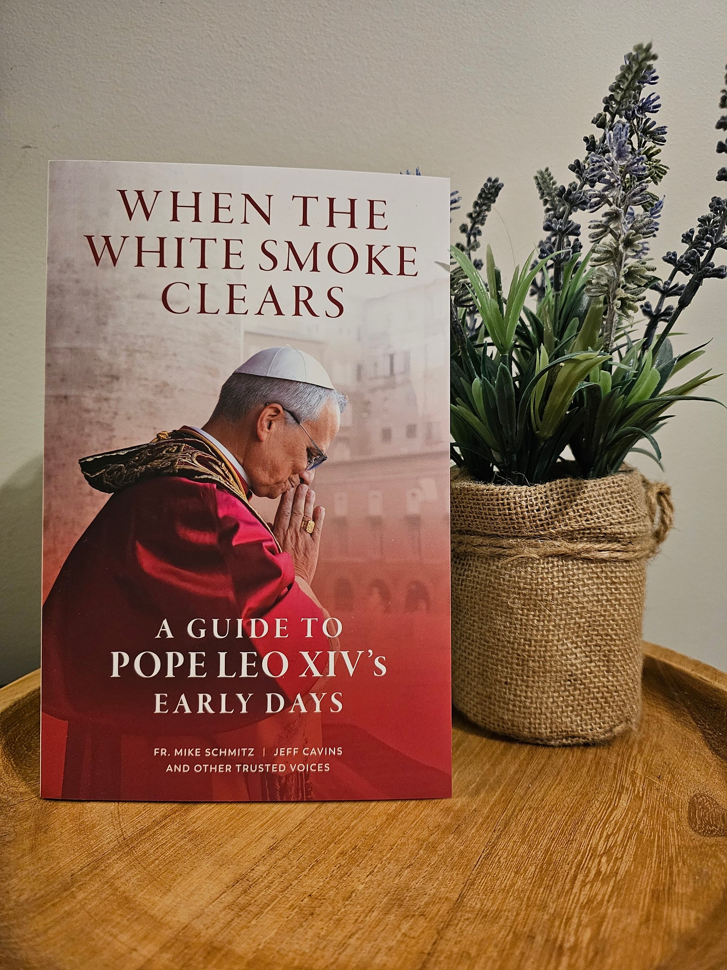When the White Smoke Clears: A Guide to Pope Leo XIV's Early Days