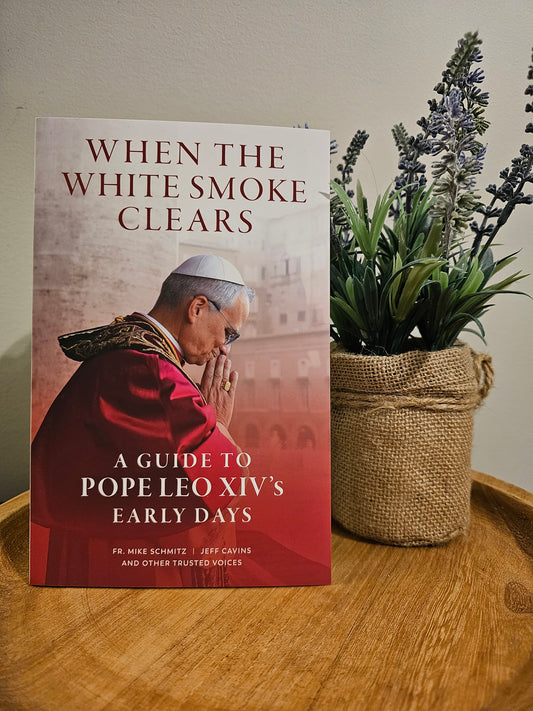 When the White Smoke Clears: A Guide to Pope Leo XIV's Early Days