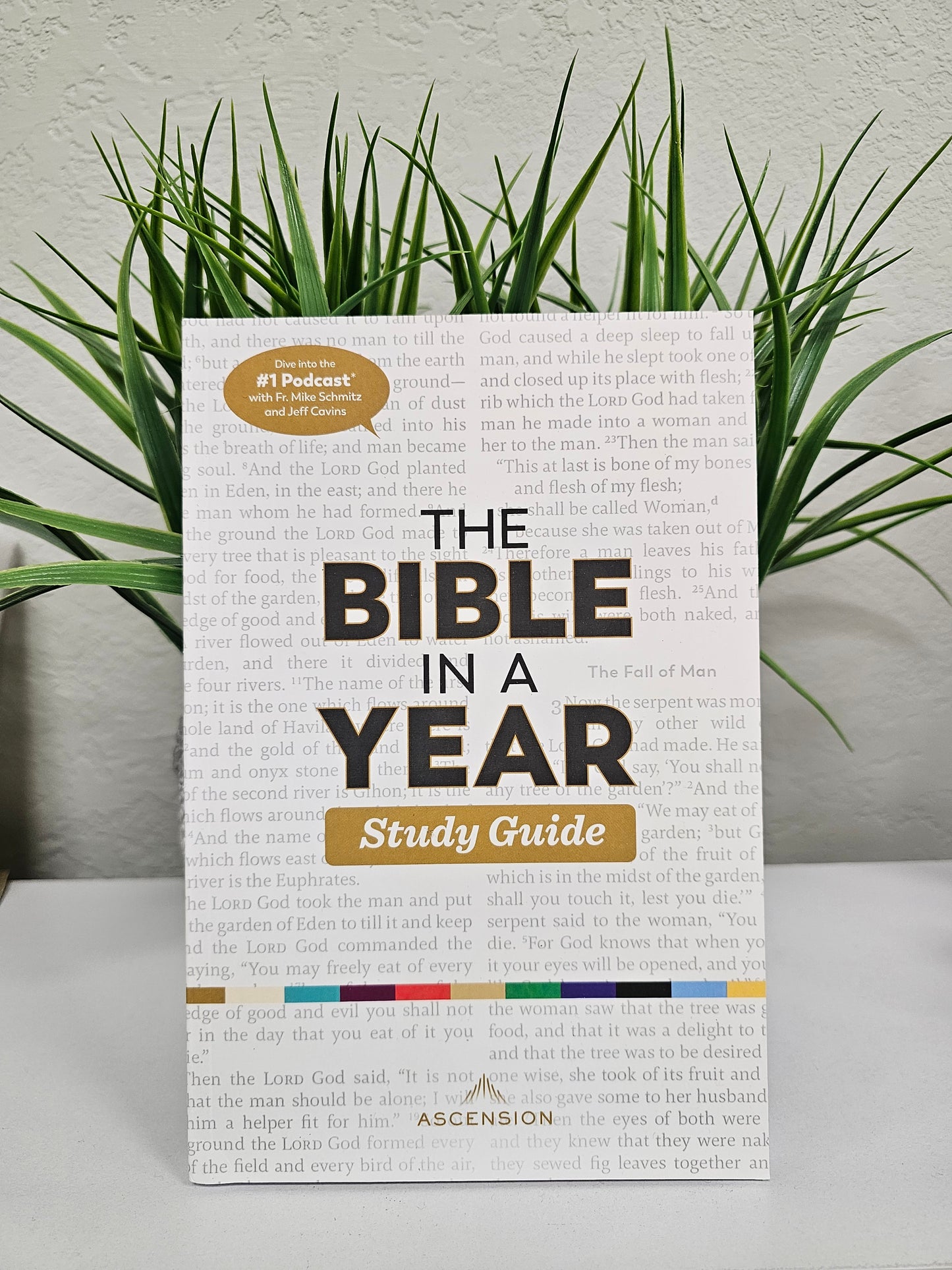 The Bible in a Year Study Guide