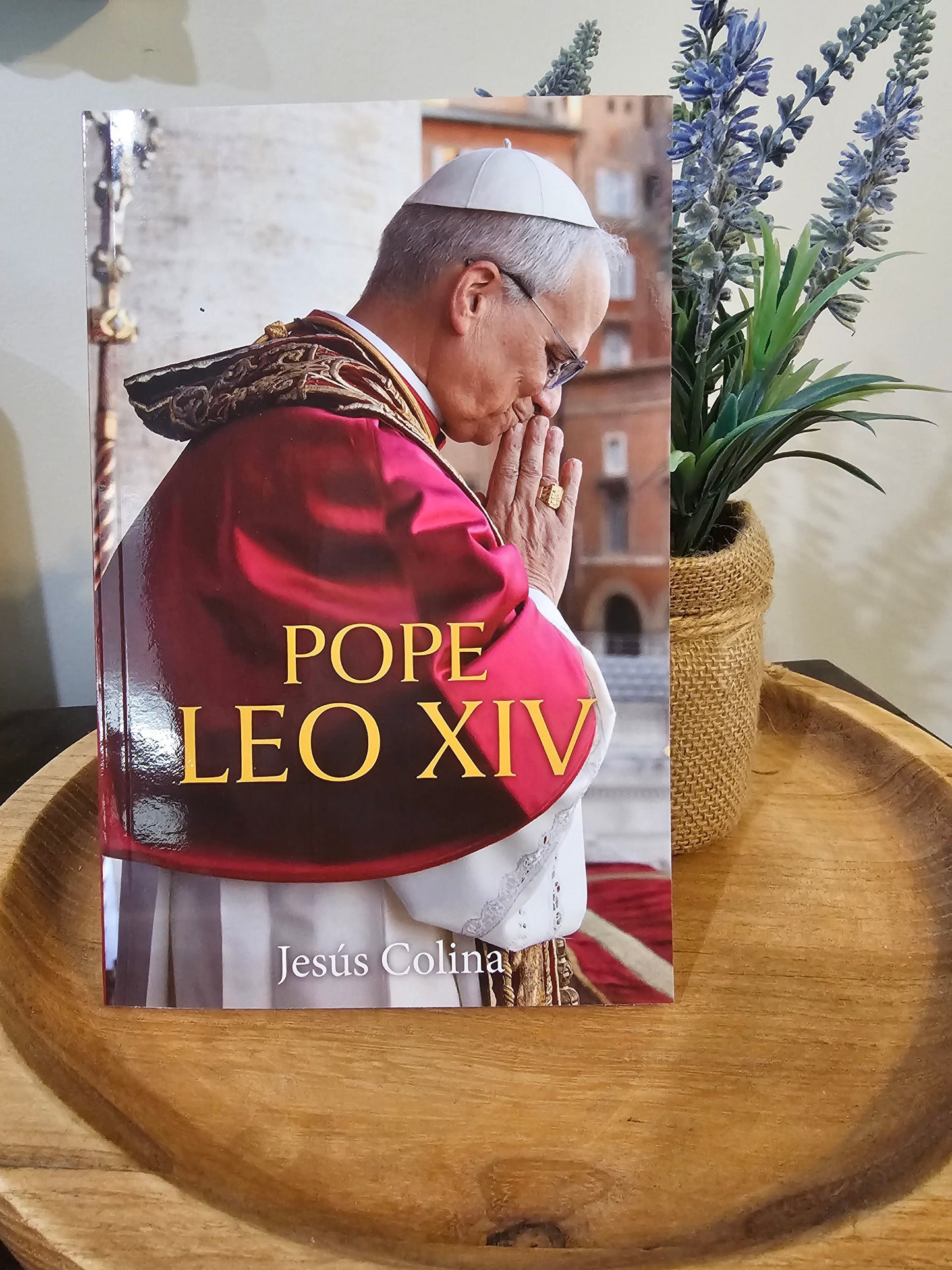 Pope Leo XIV