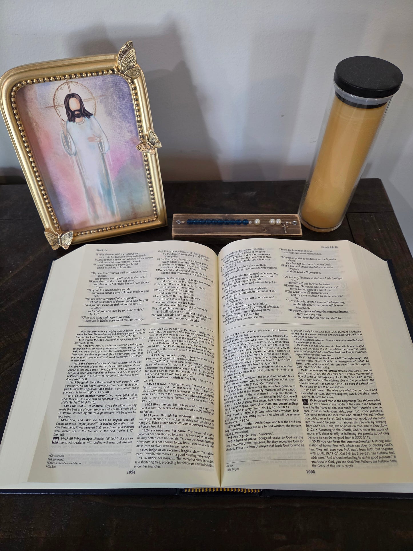 Ignatius Catholic Study Bible