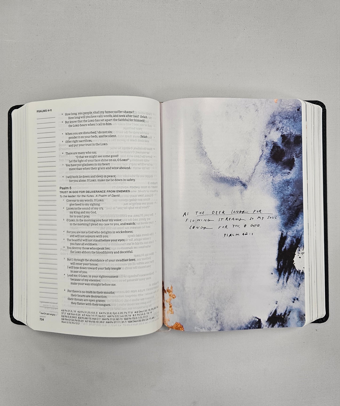 Blessed Is She Single-Column Journaling Bible (NRSV-CE, with Imprimatur)