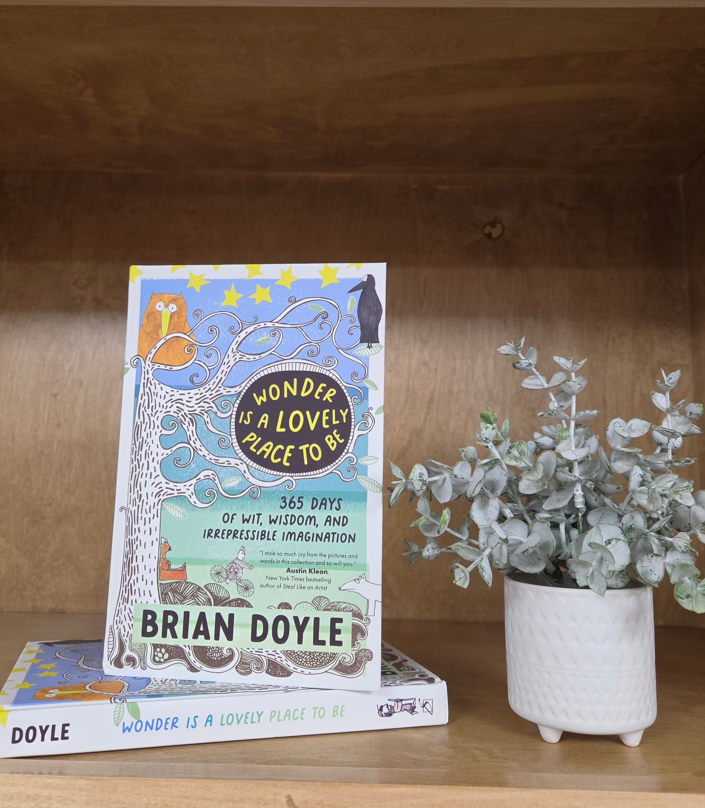 Wonder Is a Lovely Place to Be | 365 Days of Wit, Wisdom, and Irrepressible Imagination
