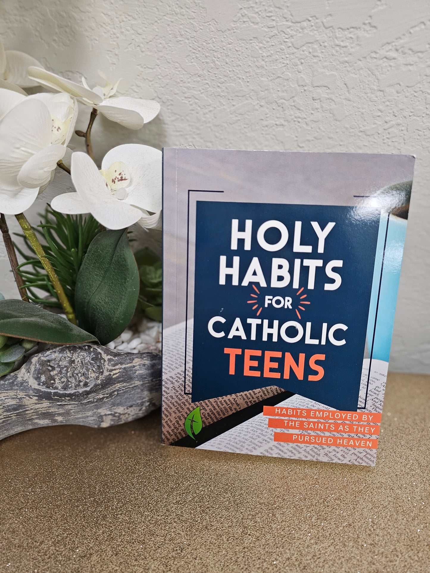 Holy Habits for Catholic Teens