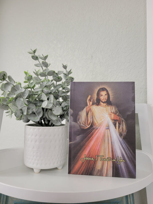 Divine Mercy Journal