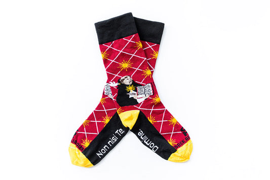 St. Thomas Aquinas Socks